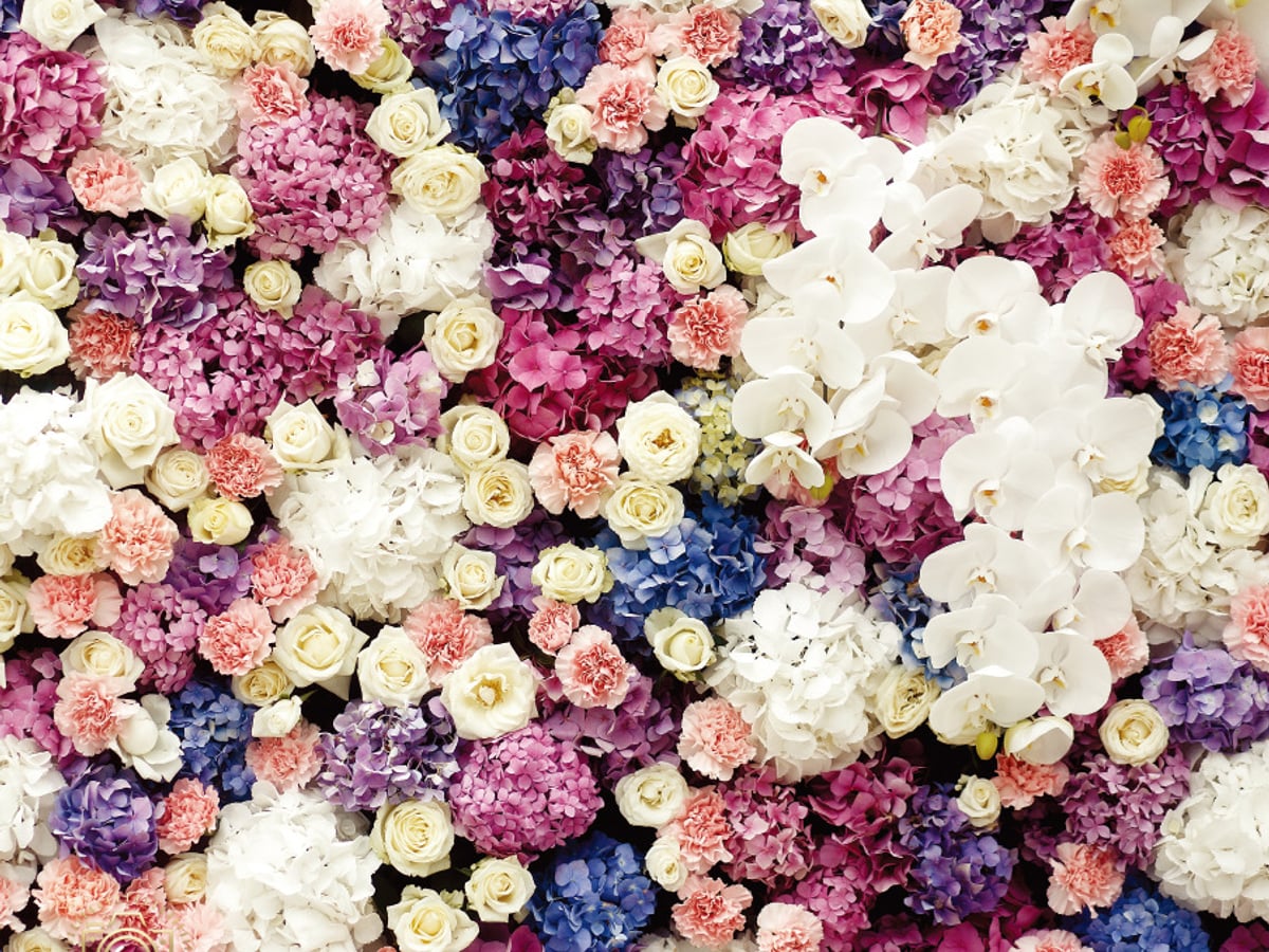 Blumenwand als Beispiel für unsere Backdrop-Optionen